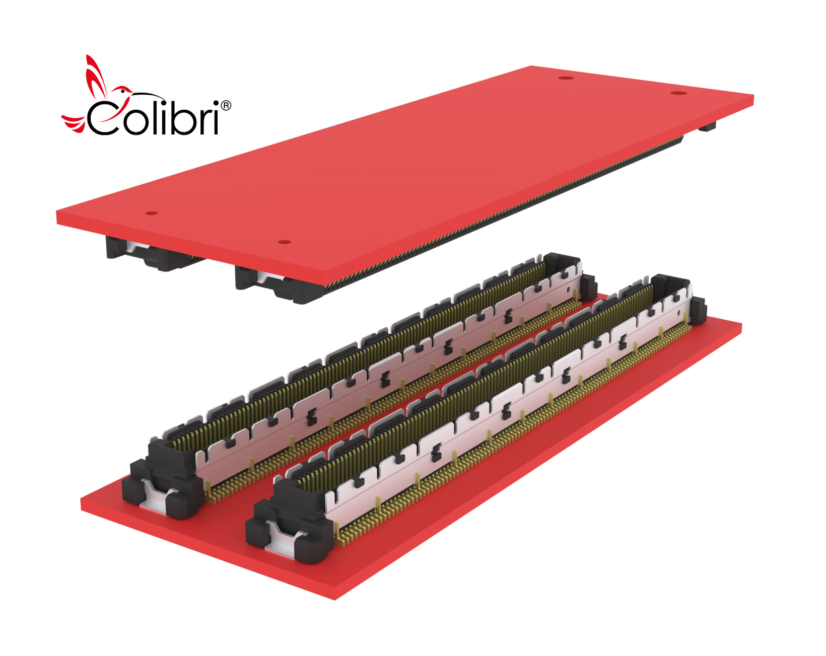 Colibri 440 pol 2026 mit Logo